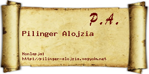 Pilinger Alojzia névjegykártya